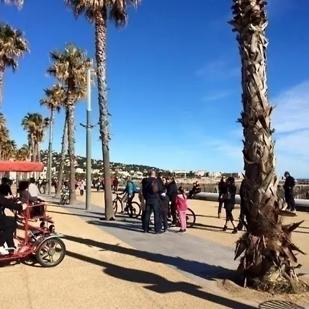 Sète, 1 Pièce, 4 Personnes - Fr-1-338-321 Appartamento