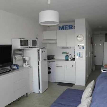 Sète, 1 Pièce, 4 Personnes - Fr-1-338-321 Sète